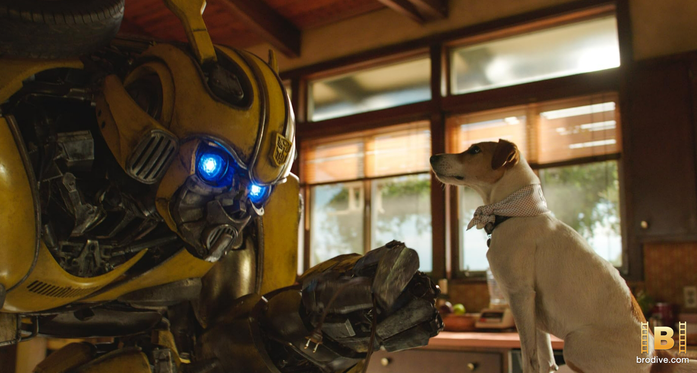 Bumblebee-2018-brodive-1