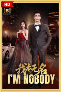 ดูซีรีย์ I’m Nobody 2025
