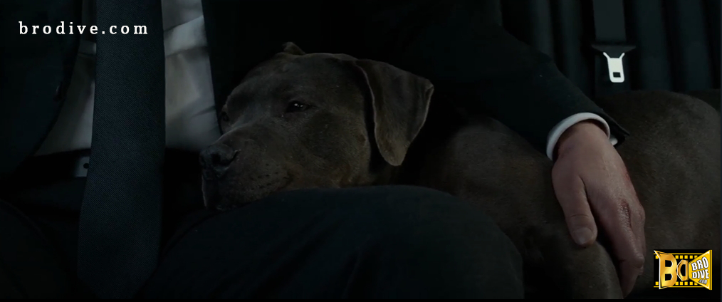 JOHN-WICK-2-จอห์นวิค-แรงกว่านรก-380hd-2
