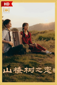 ดูซีรีย์ When the Hawthorn Blooms 2025