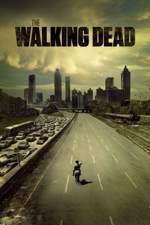 THE WALKING DEAD ล่าสยองทัพผีดิบ พากย์ไทย ครบ 11 ซีซั่น