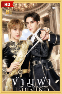 ดูซีรีย์ ข้ามฟ้าเคียงเธอ The Next Prince 2025