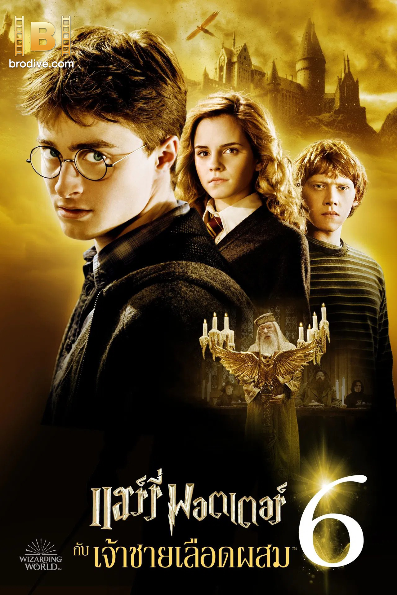 ดูหนัง แฮร์รี่ พอตเตอร์ กับเจ้าชายเลือดผสม the Half-Blood Prince