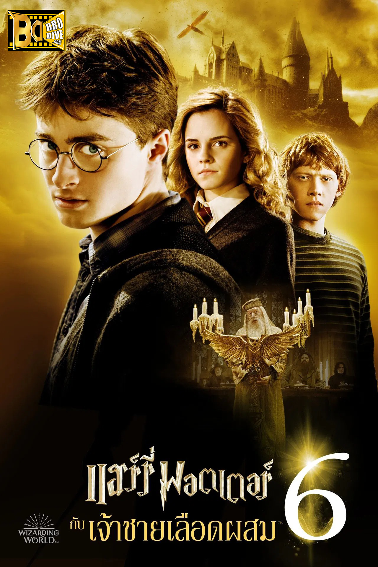 ดูหนัง แฮร์รี่ พอตเตอร์ กับเจ้าชายเลือดผสม the Half-Blood Prince