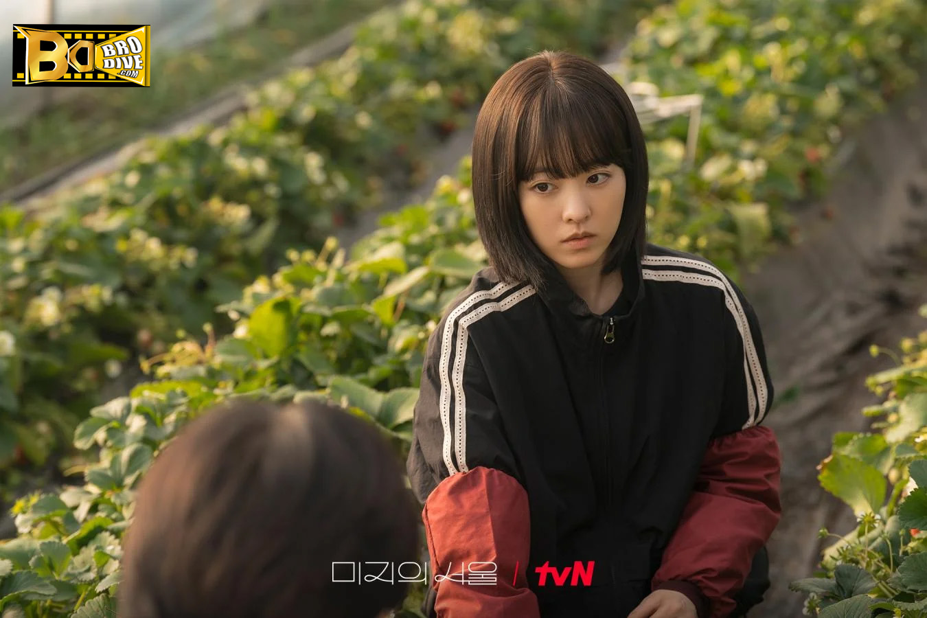 ดูซีรี่ย์ เขียนชีวิตใหม่ในกรุงโซล Our Unwritten Seoul (2025)-ซับไทย