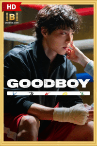 ดูซีรีย์ แชมป์ปราบอาชญากร Good Boy 2025