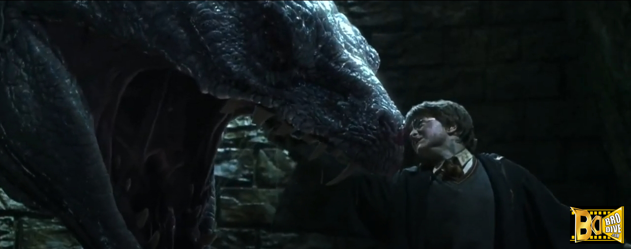 แฮร์รี่-พอตเตอร์-กับ-ห้องแห่งความลับ-the-Chamber-of-Secrets-Brodive-3
