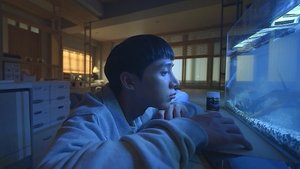 พากย์ไทย Season 1 EP 12